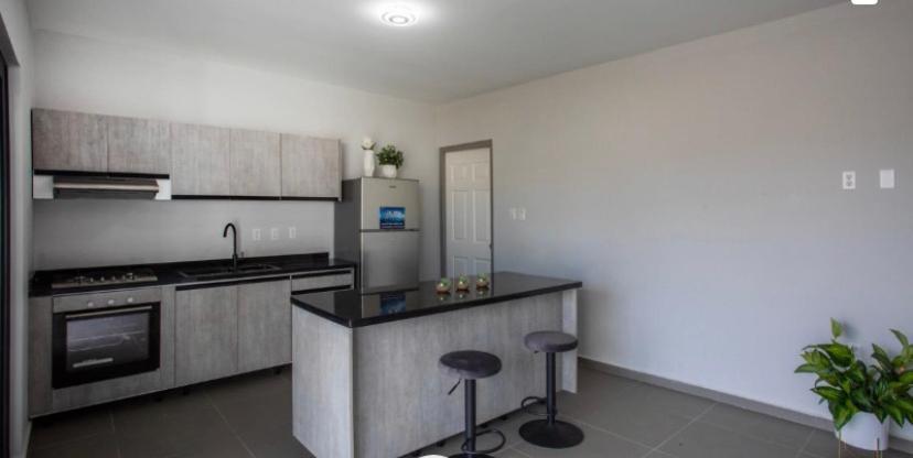 וילמסטאד Winstonvalley Resort מראה חיצוני תמונה